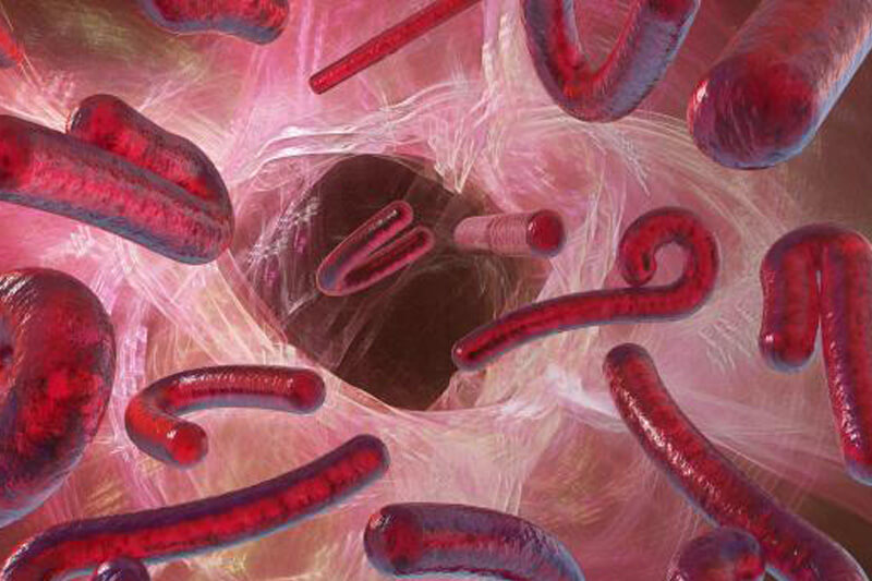 Ebola Bukan Hoaks: Kenali Ancaman Nyata Penyakit Ini