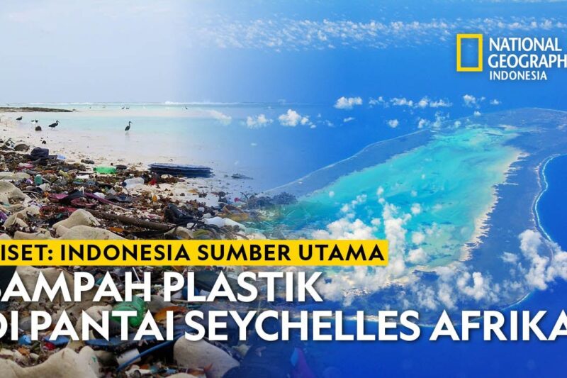 Dampak Sampah Plastik Terhadap Ekosistem Laut: Jangan Anggap Sepele!